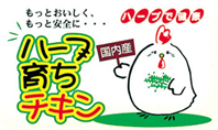 長崎福鳥